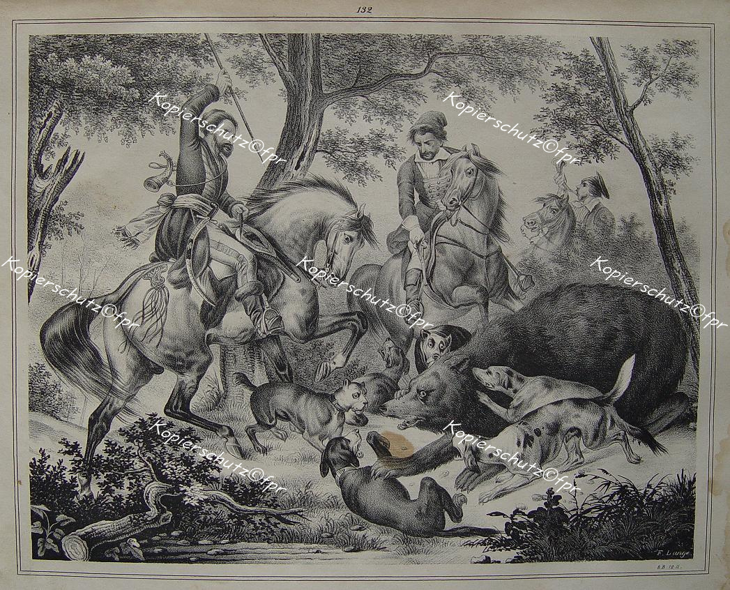 Bär Bären Sibirien Russia Baschkiren Tartaren JagdHorn Hund Jäger